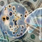 Микробы «растут» на деньгах