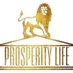 Мощные возможности бизнеса с компанией Prosperity Life