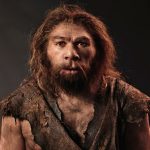 Ученые планируют “воскресить” мозг неандертальца.
