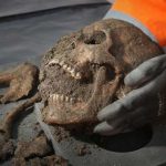 Обнаружен смертоносный вирус в зубах древнего человека.