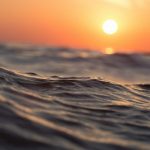 Уровень кислотности океана побьёт рекорд, державшийся 14 млн лет.