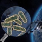 Условия на МКС не ведут к опасным мутациям бактерий.
