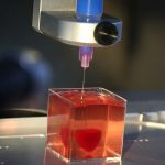 Впервые создано человеческое мини-сердце на 3D-принтере.