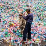 Пластиковые отходы могут стать кормом для мучных червей.